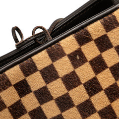 Damier Sauvage Impala