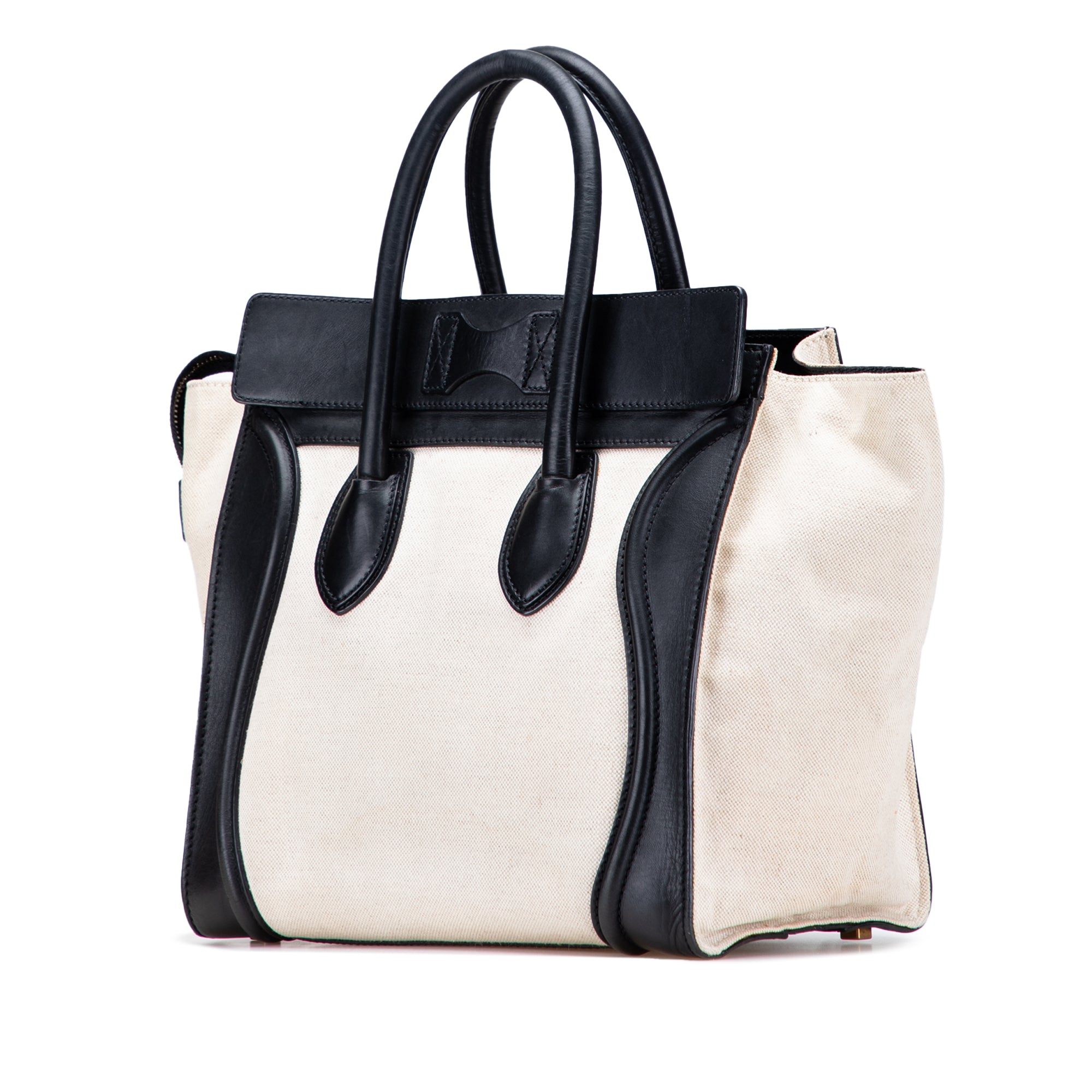 Mini Canvas Tricolor Luggage Tote