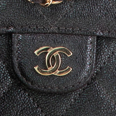 Small Iridescent Caviar Single Flap