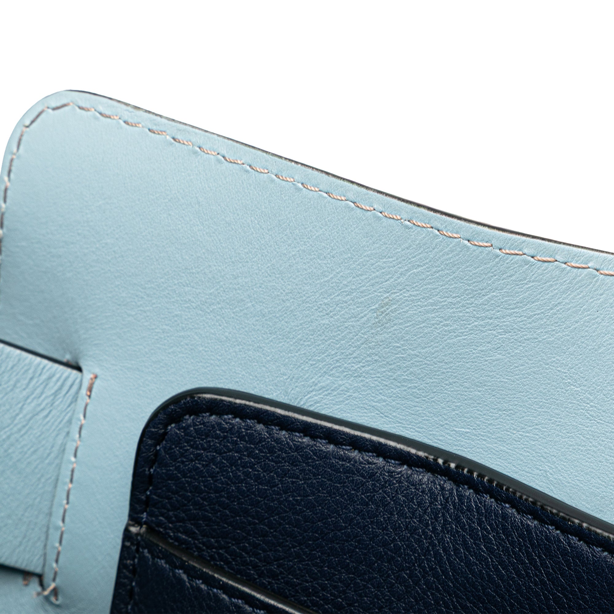 Medium Tricolor Leather Marais Belt Bag