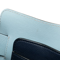 Medium Tricolor Leather Marais Belt Bag