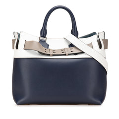 Medium Tricolor Leather Marais Belt Bag