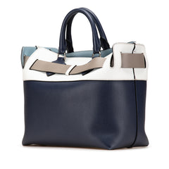 Medium Tricolor Leather Marais Belt Bag