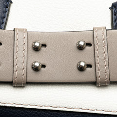 Medium Tricolor Leather Marais Belt Bag