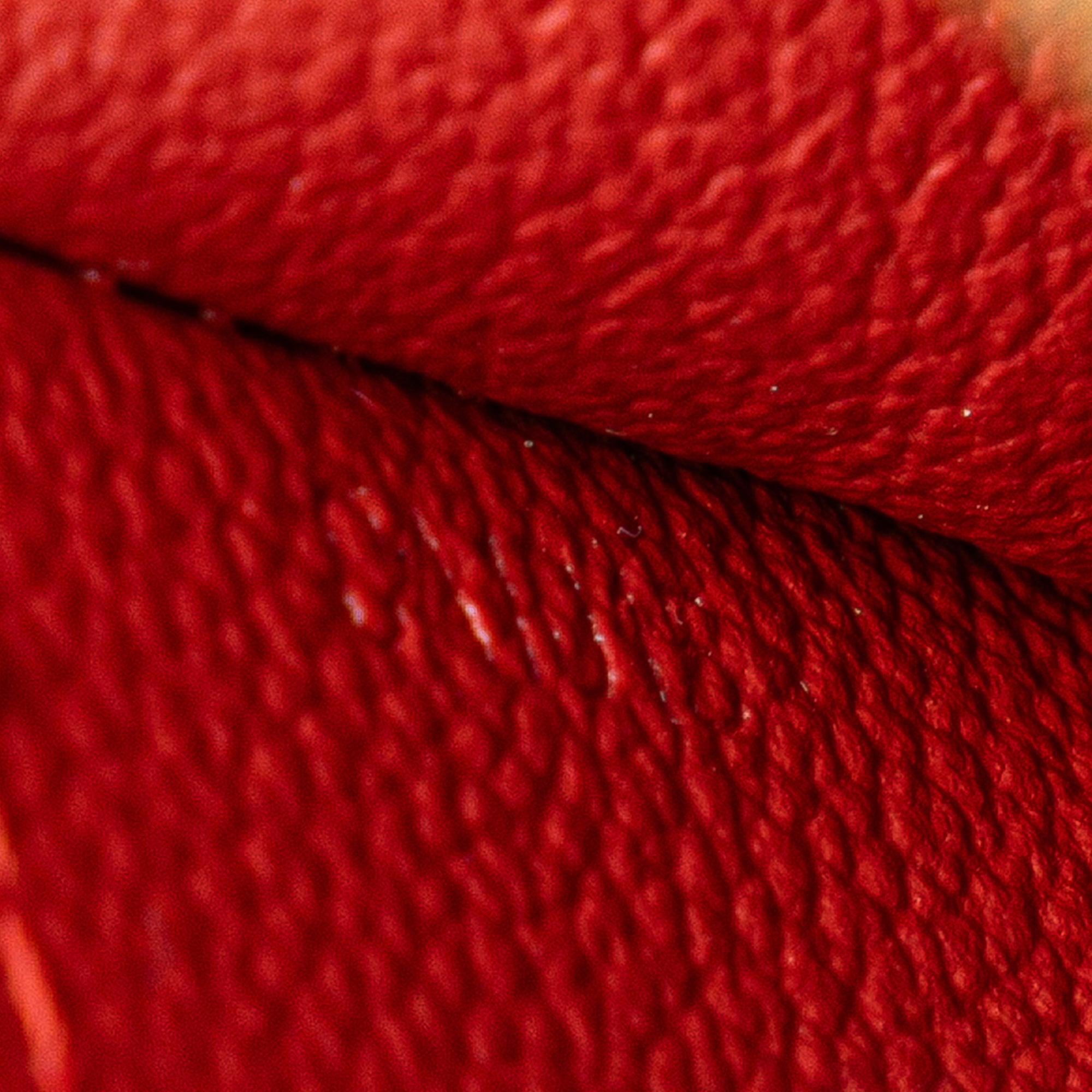 Damier Ebene Cosmetic Pouch