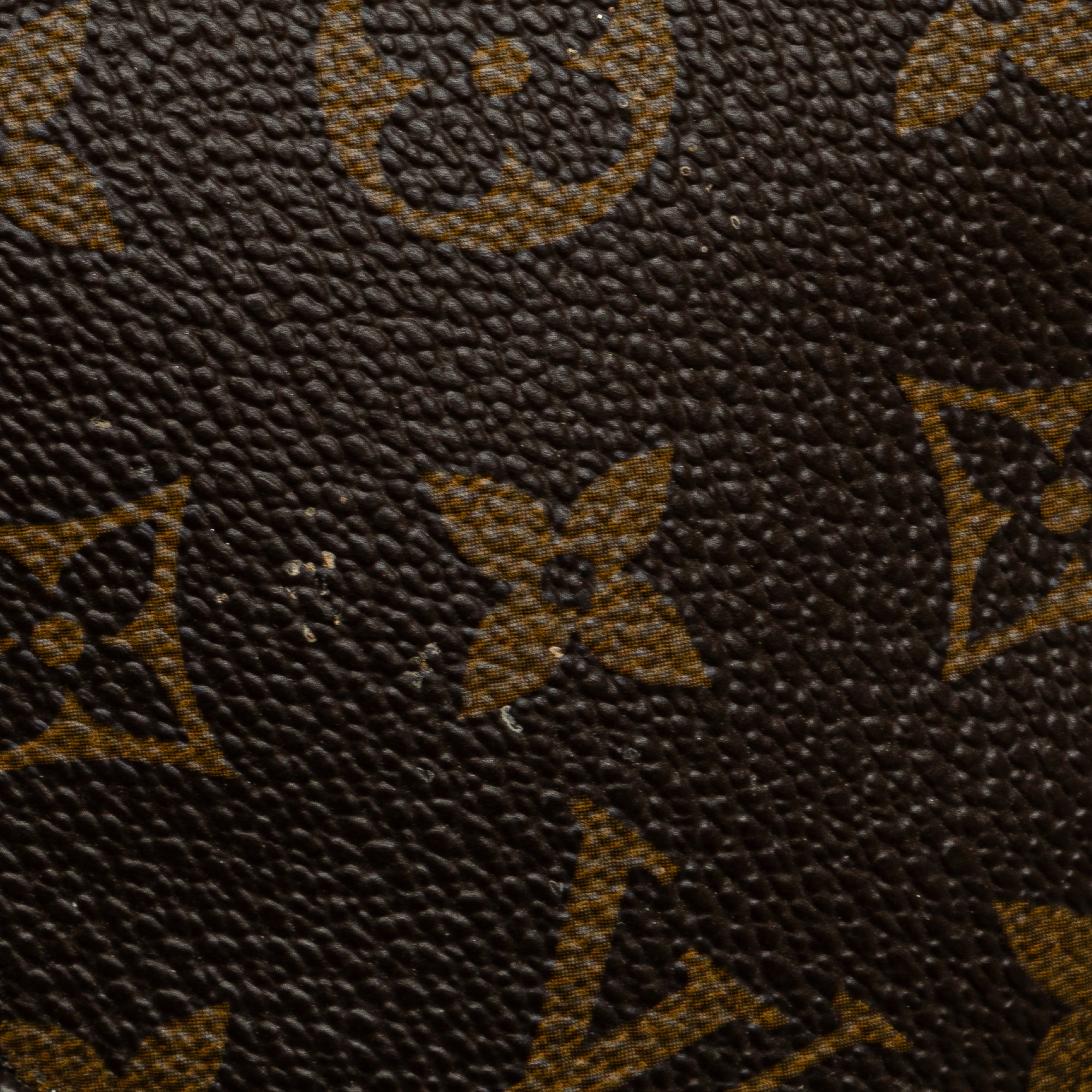 Monogram Pochette Accessoires_7