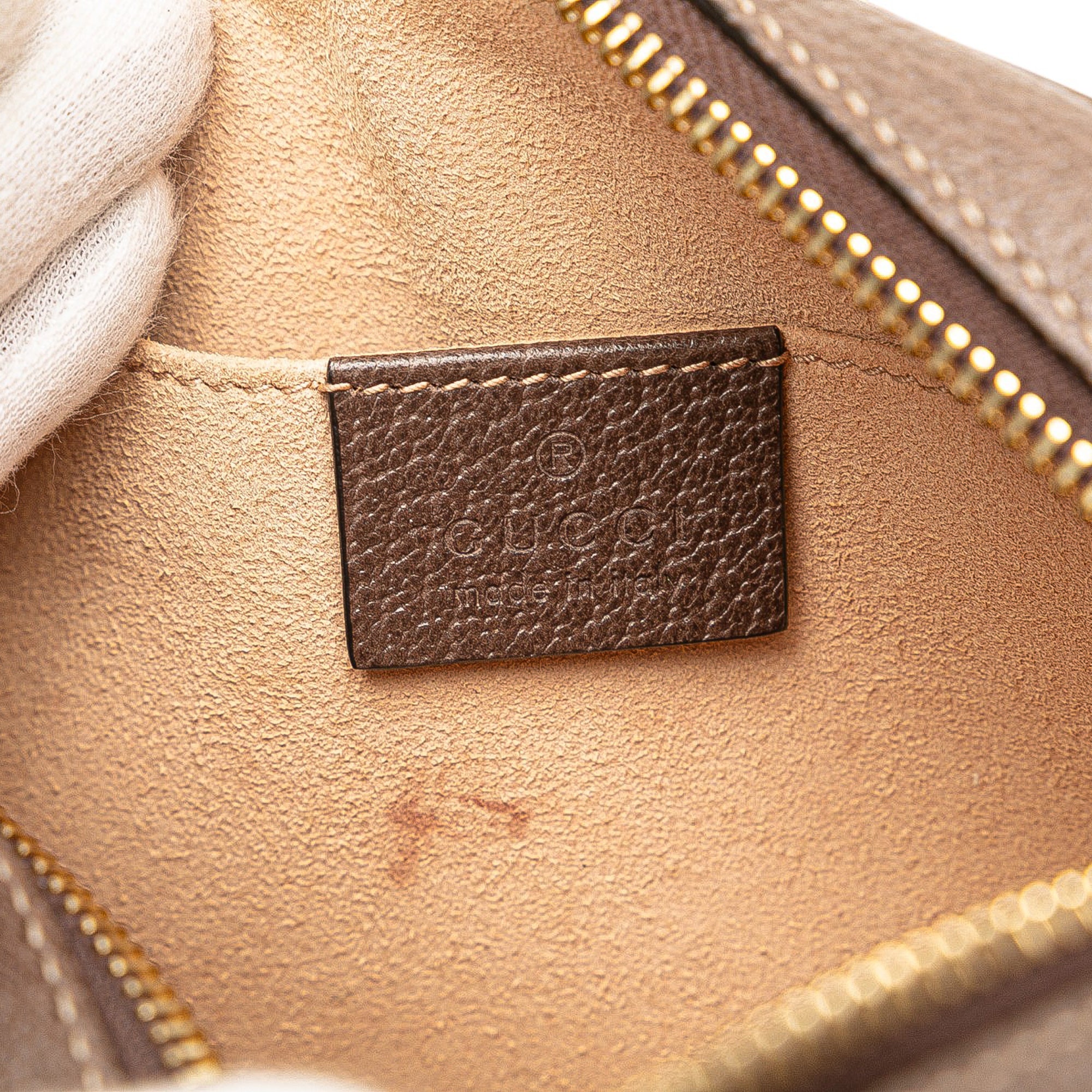 Mini GG Supreme Ophidia Crossbody