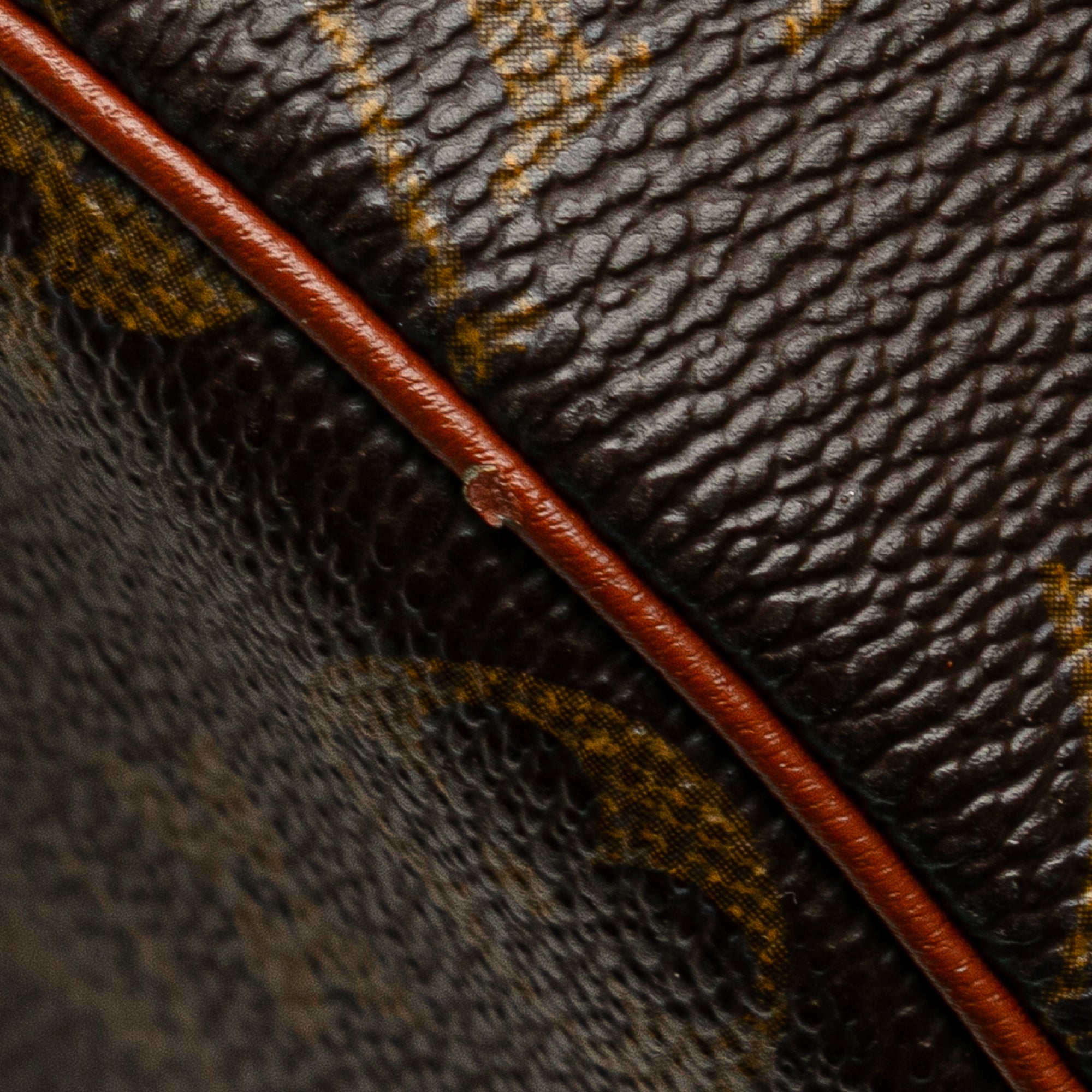 Monogram Papillon 26