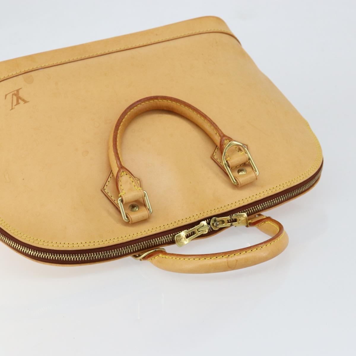 Louis Vuitton Alma Handbag Nomade Leather