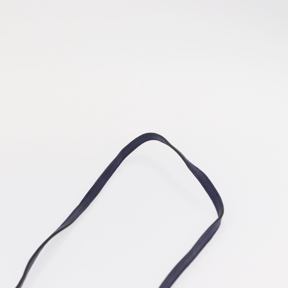 Celine Handbag Suede