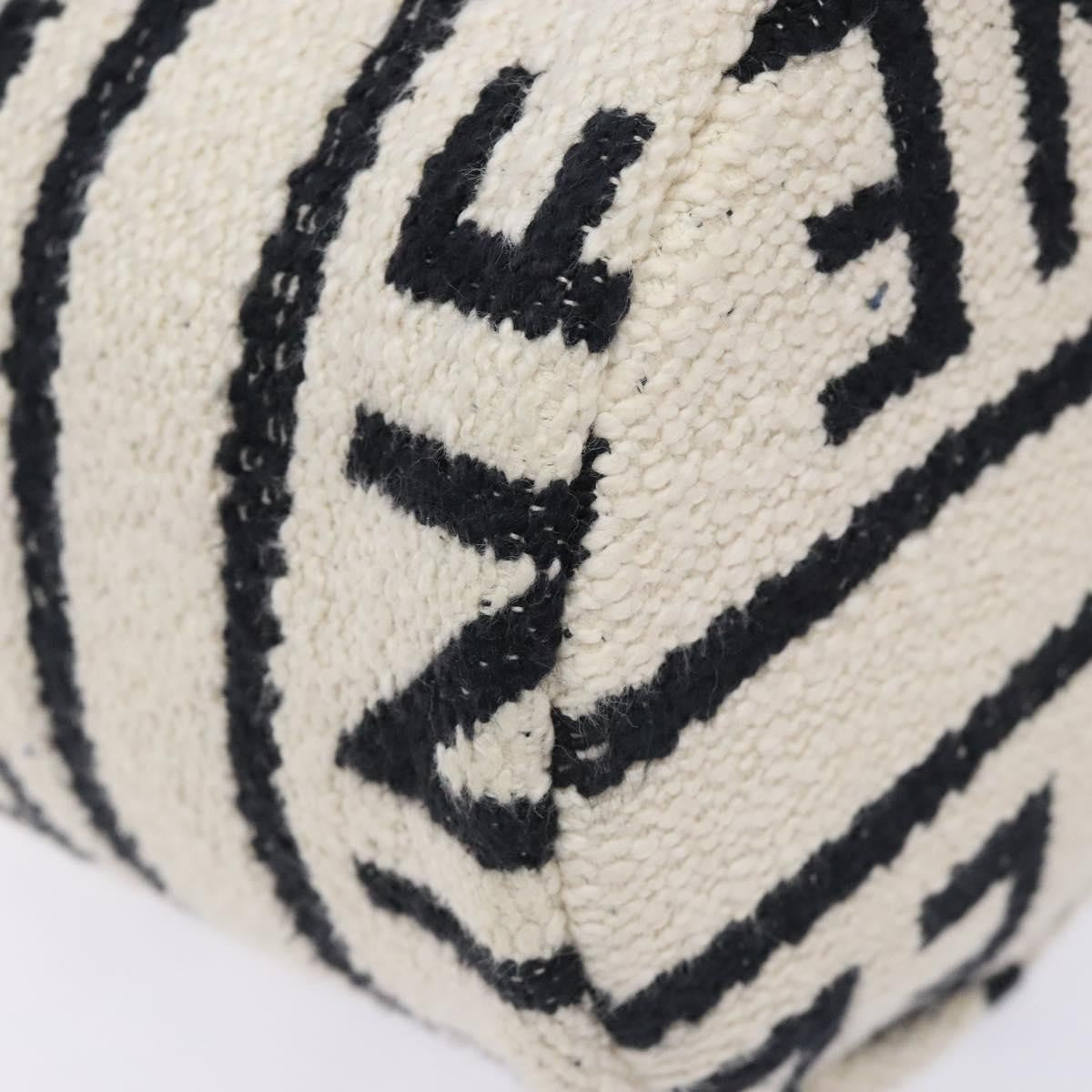 Celine Teen Drawstring Plein Soleil Bucket Bag Canvas with Leather