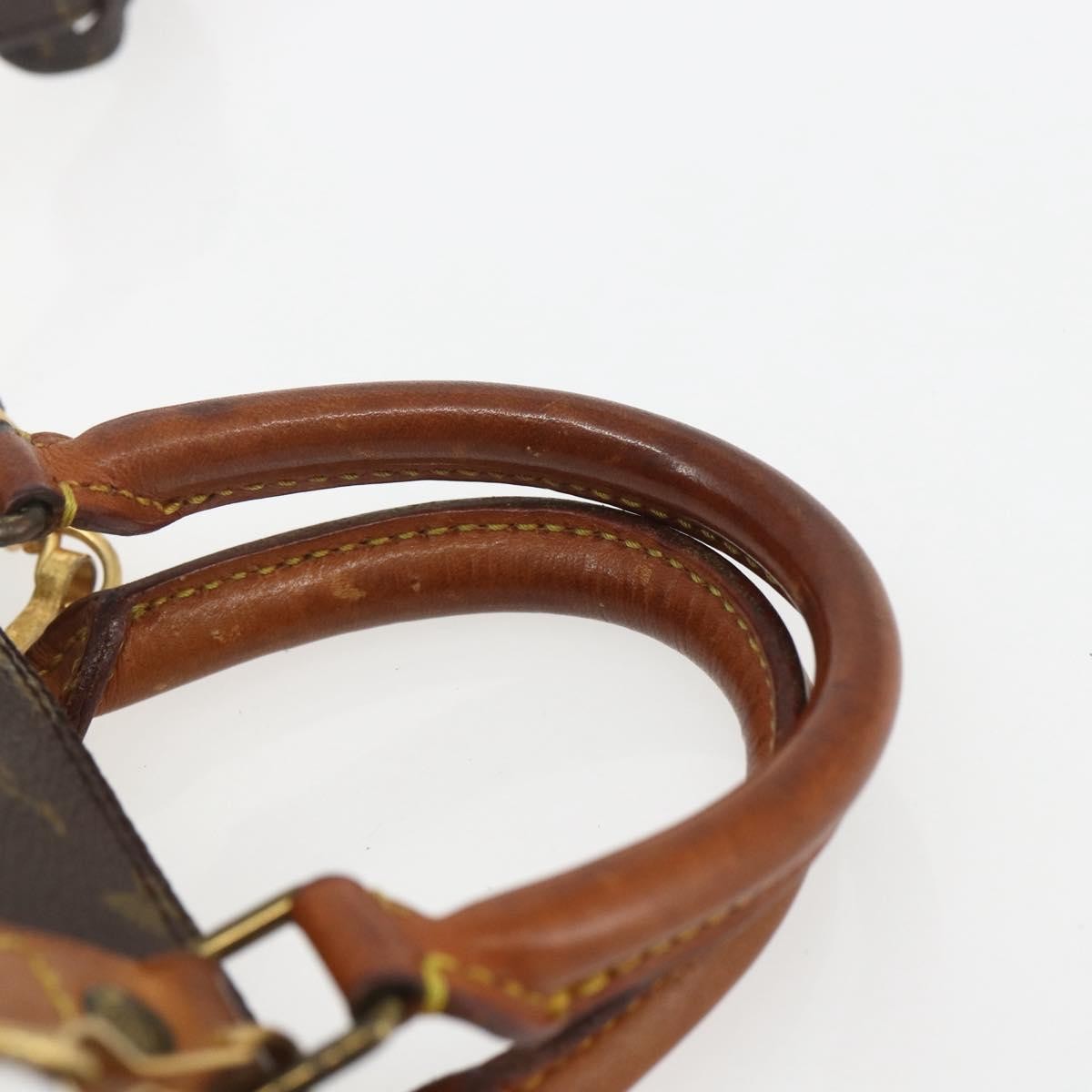 Louis Vuitton Speedy Mini HL Handbag Monogram Canvas