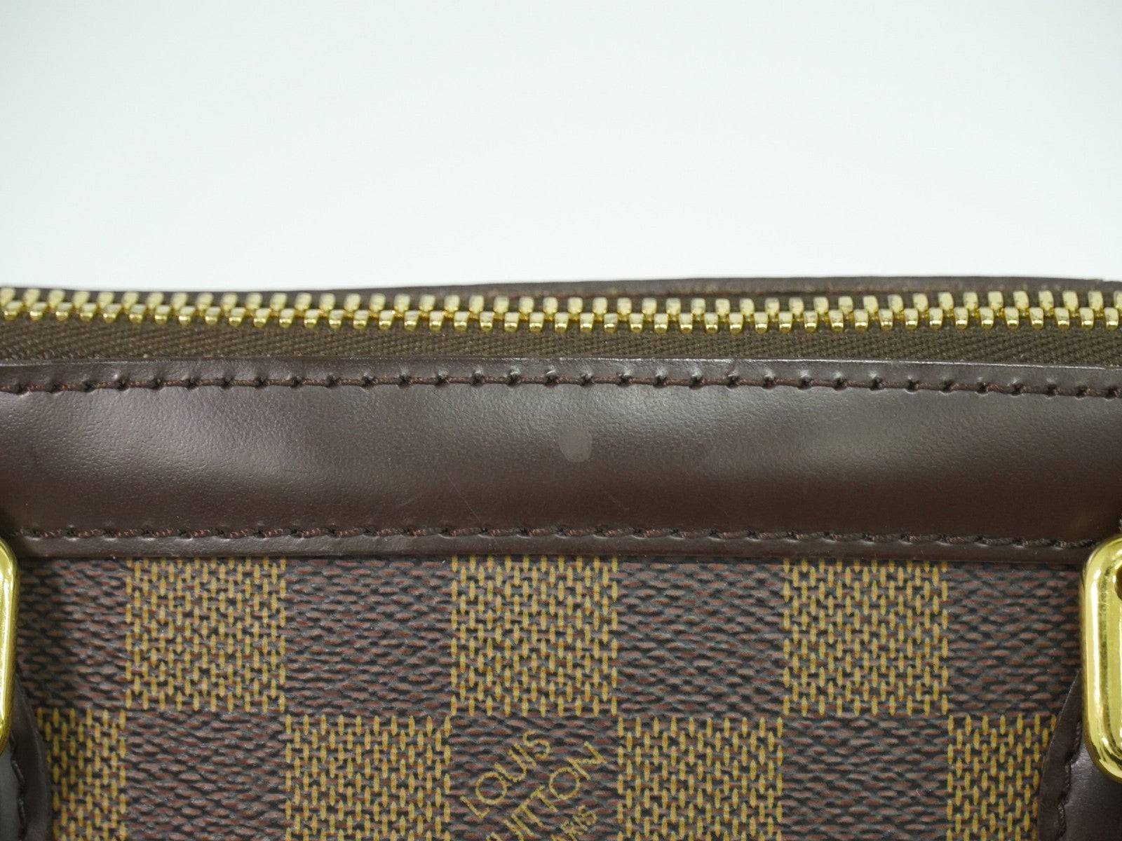 Louis Vuitton Trevi Handbag Damier