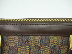 Louis Vuitton Trevi Handbag Damier