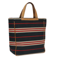 Burberry Blue Label Handbag Canvas