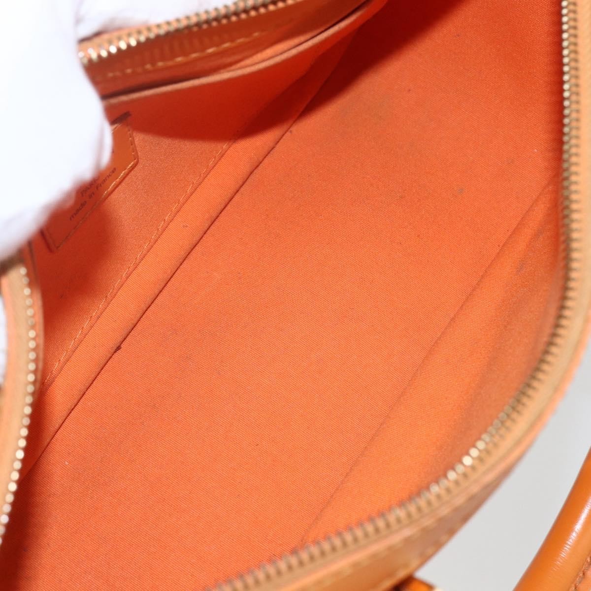 Louis Vuitton Danura Handbag Epi