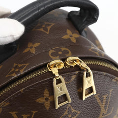 Louis Vuitton Palm Springs Backpack Monogram Canvas