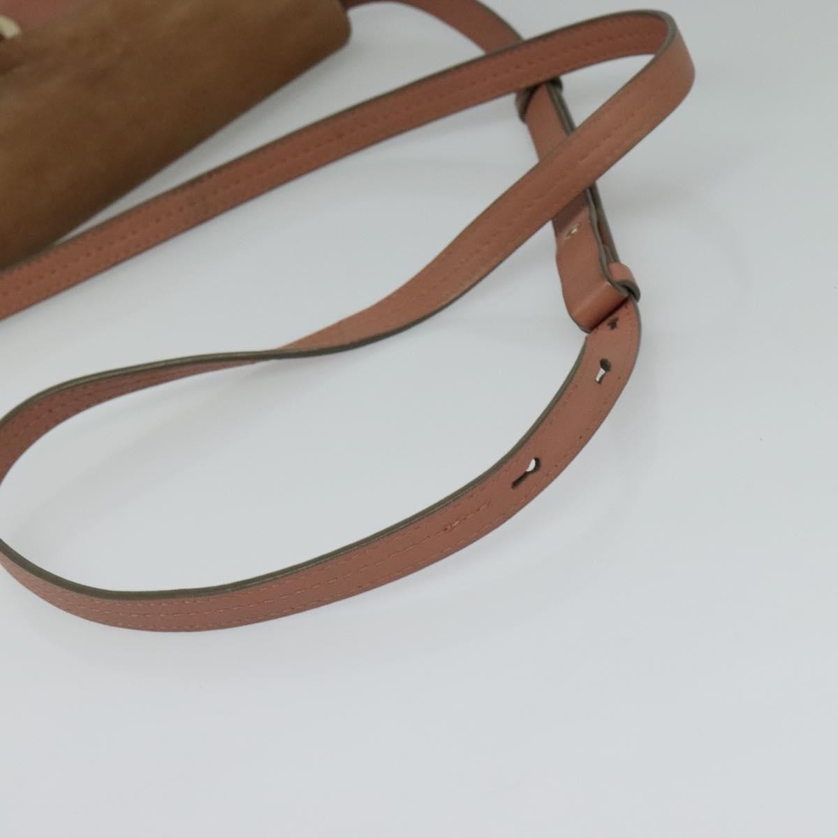 Chloe Faye Crossbody Leather and Suede