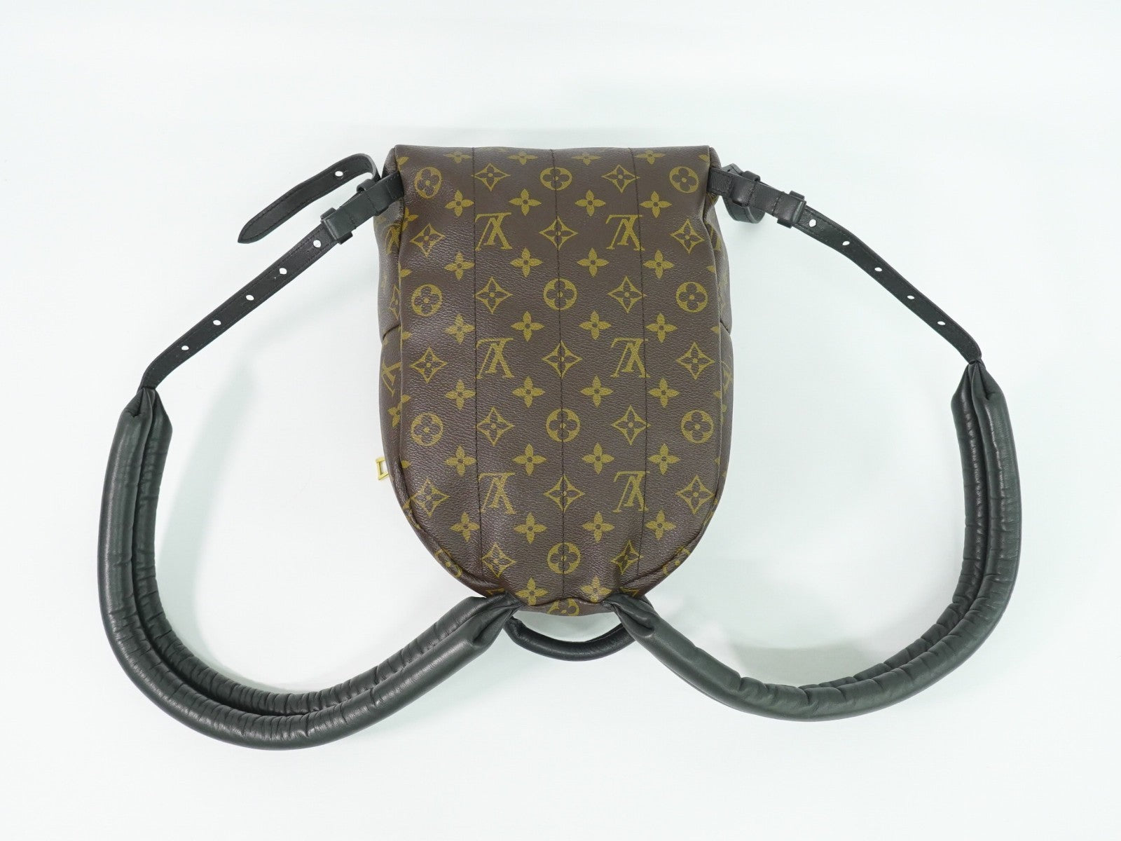 Louis Vuitton Palm Springs Backpack Monogram Canvas