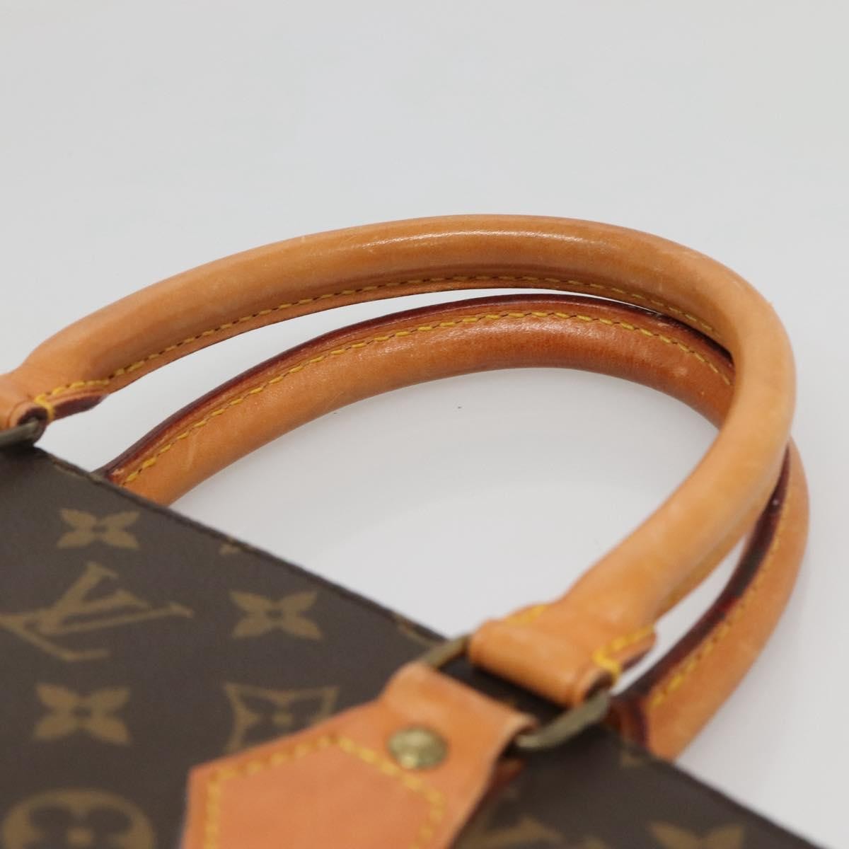 Louis Vuitton Sac Plat Bag Monogram Canvas