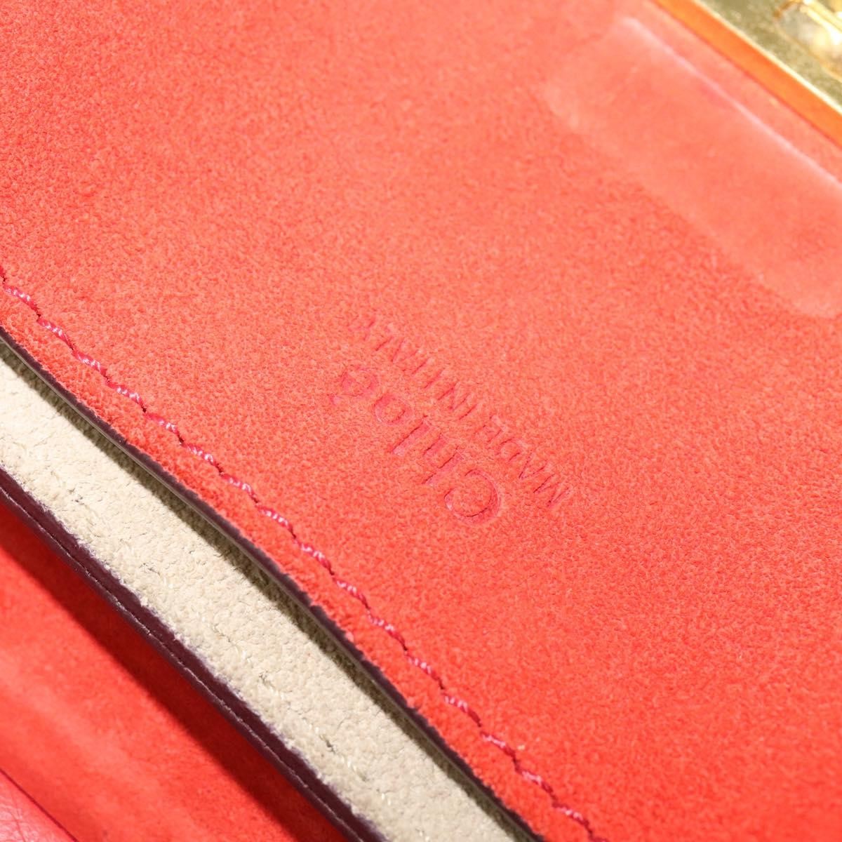 Chloe Drew Crossbody Bag Leather and Suede