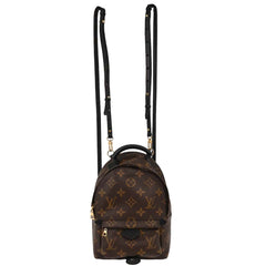 Louis Vuitton Palm Springs Backpack Monogram Canvas