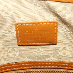 Louis Vuitton Mary Kate Messenger Bag Mini Lin