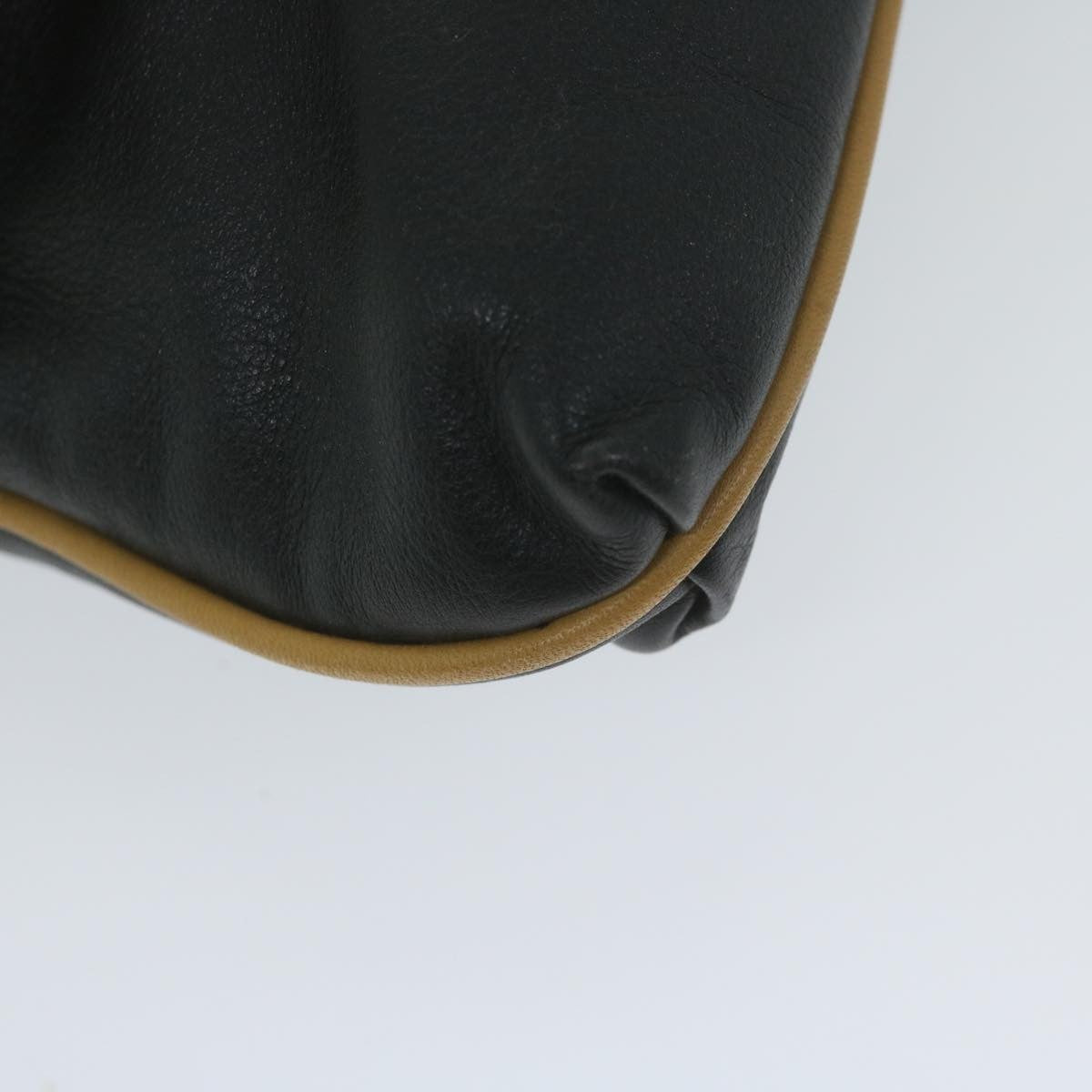 Celine Logo Triomphe Pouch Leather