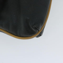 Celine Logo Triomphe Pouch Leather