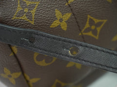 Louis Vuitton Palm Springs Backpack Monogram Canvas