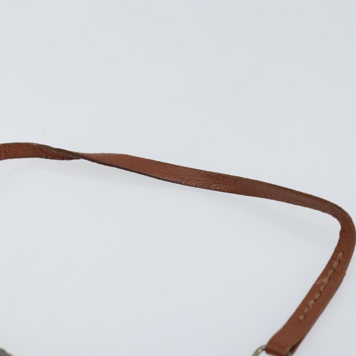 Louis Vuitton Papillon Pochette Monogram Canvas