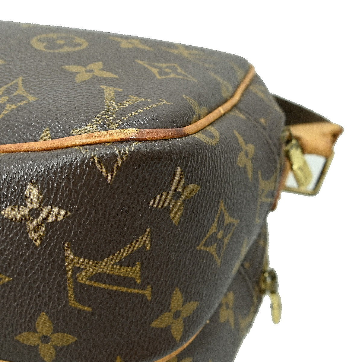 Louis Vuitton Reporter Bag Monogram Canvas
