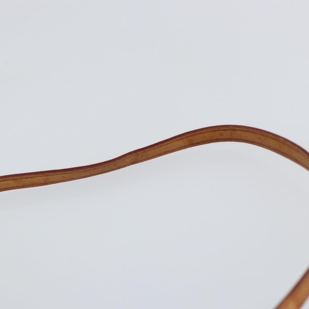 Louis Vuitton Papillon Pochette Monogram Canvas