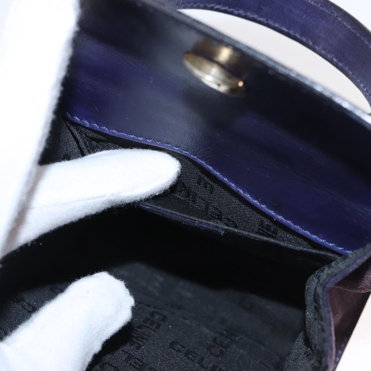 Celine Handbag Suede