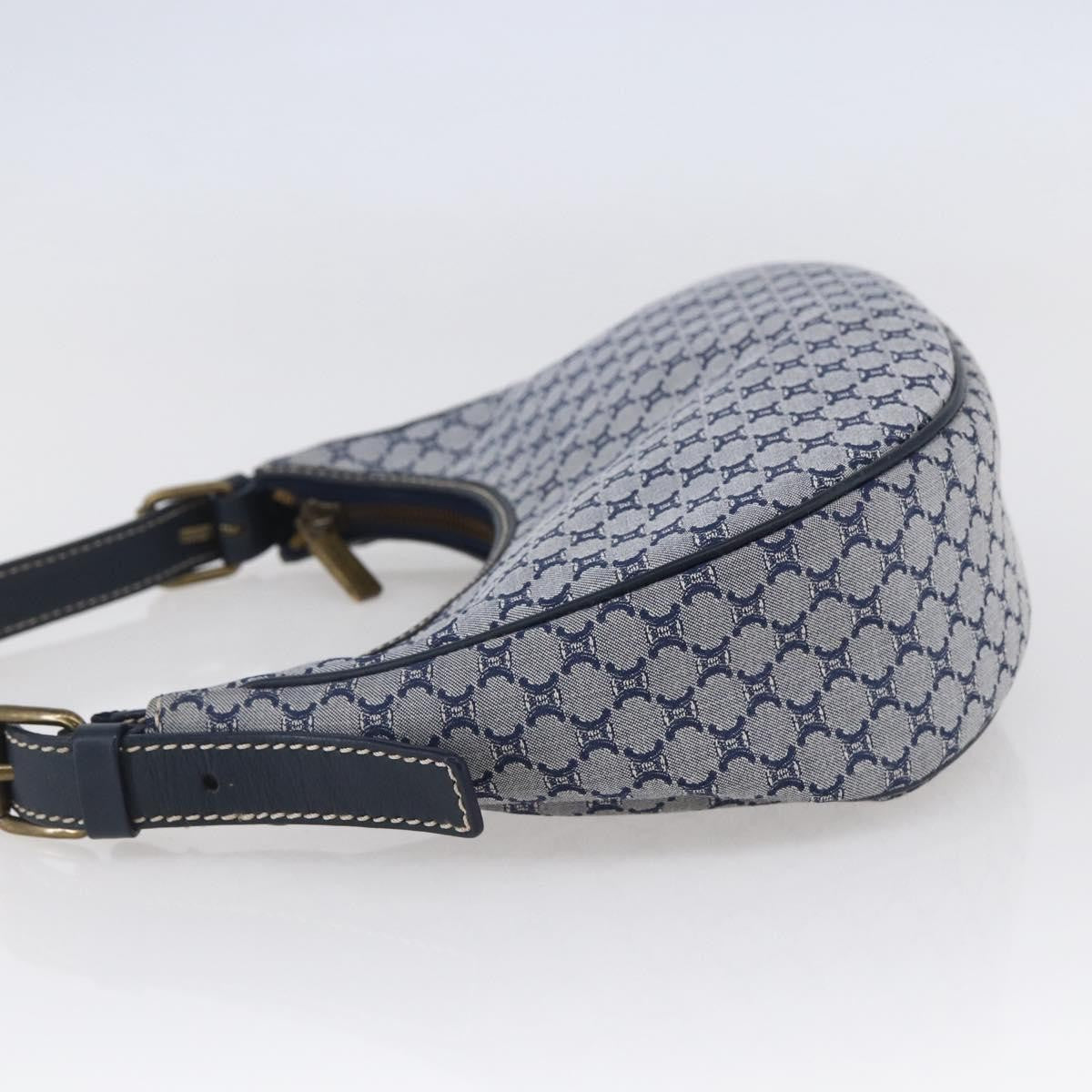 Celine Ava Bag Triomphe Canvas