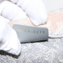 Christian Dior Book Tote Printed Canvas