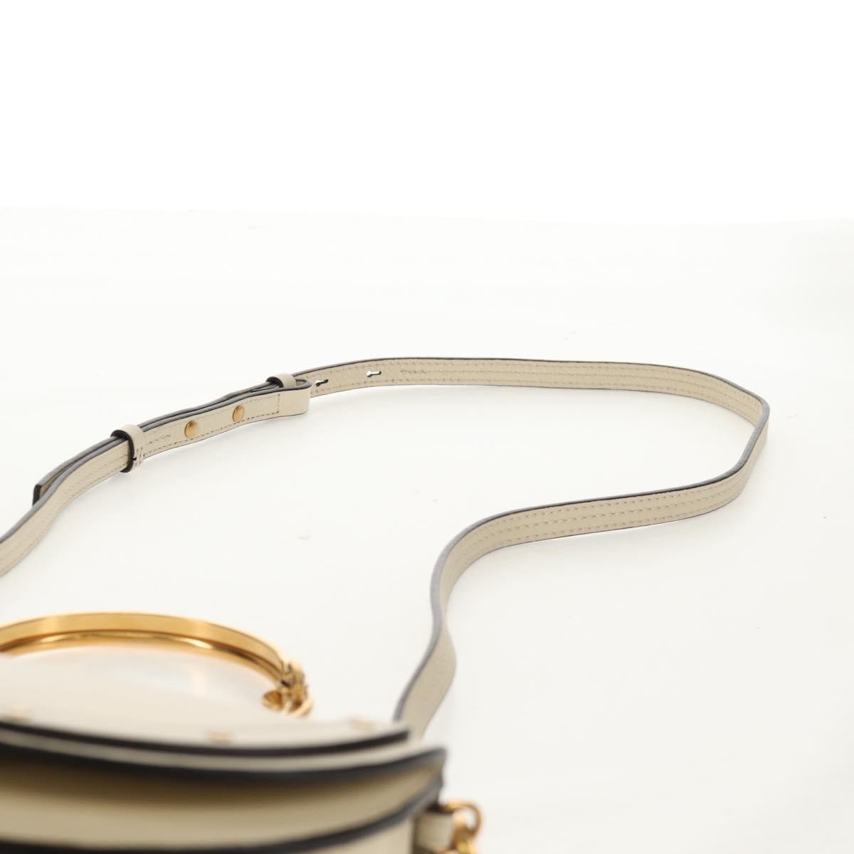 Chloe Nile Minaudière Leather