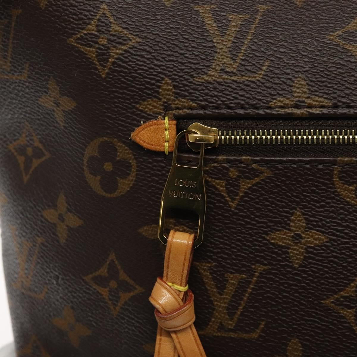 Louis Vuitton Iena Tote Monogram Canvas