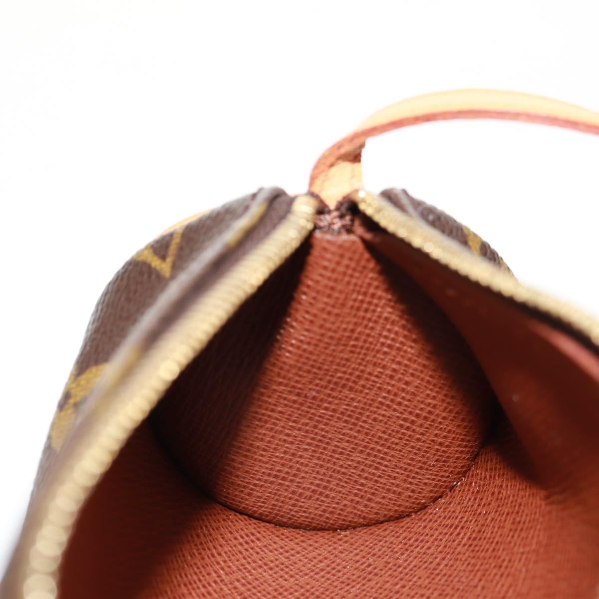 Louis Vuitton Papillon Pochette Monogram Canvas