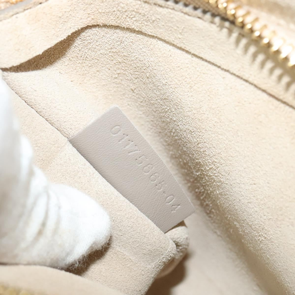 Chloe Faye Shoulder Bag Leather and Suede