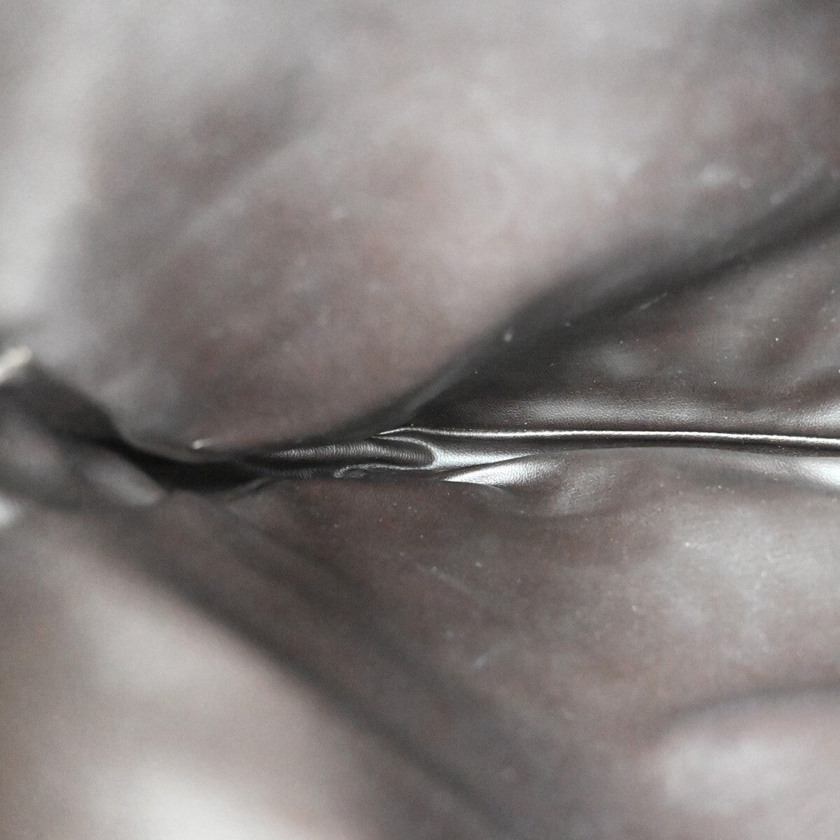 Fendi Camera Case Pattern Zucca