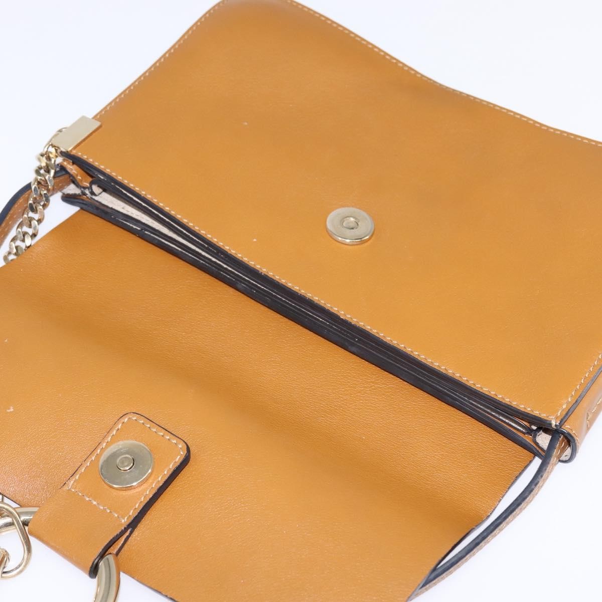 Chloe Faye Shoulder Bag Leather and Suede