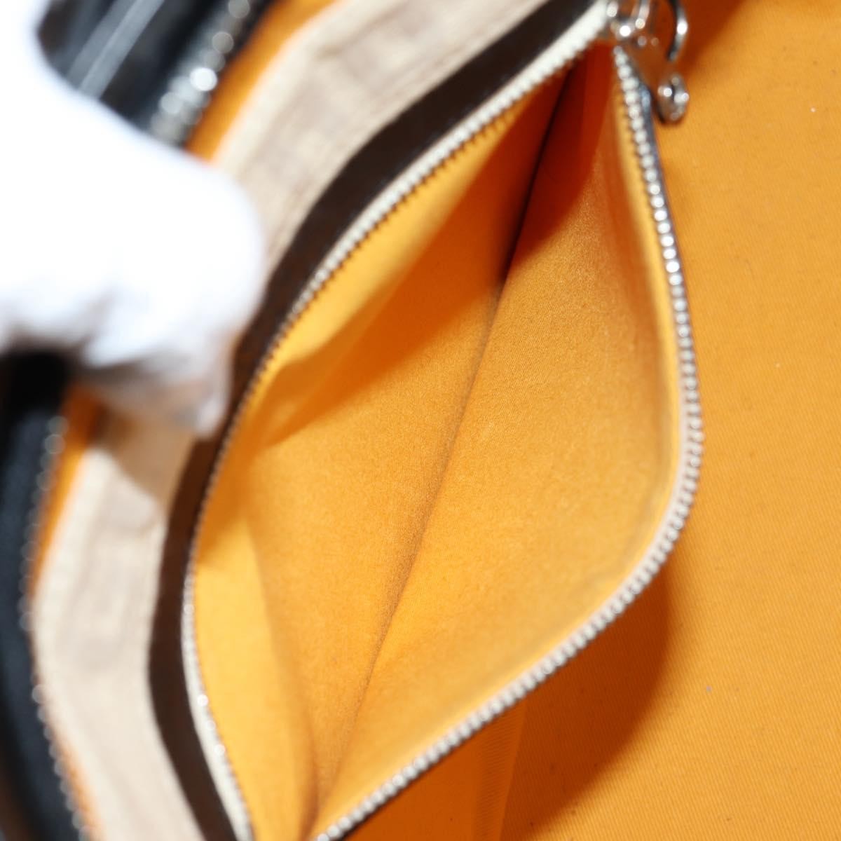 Goyard Beluga Bag Coated Canvas