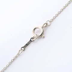 Tiffany & Co. Paloma Picasso Tenderness Heart Pendant Necklace Sterling Silver