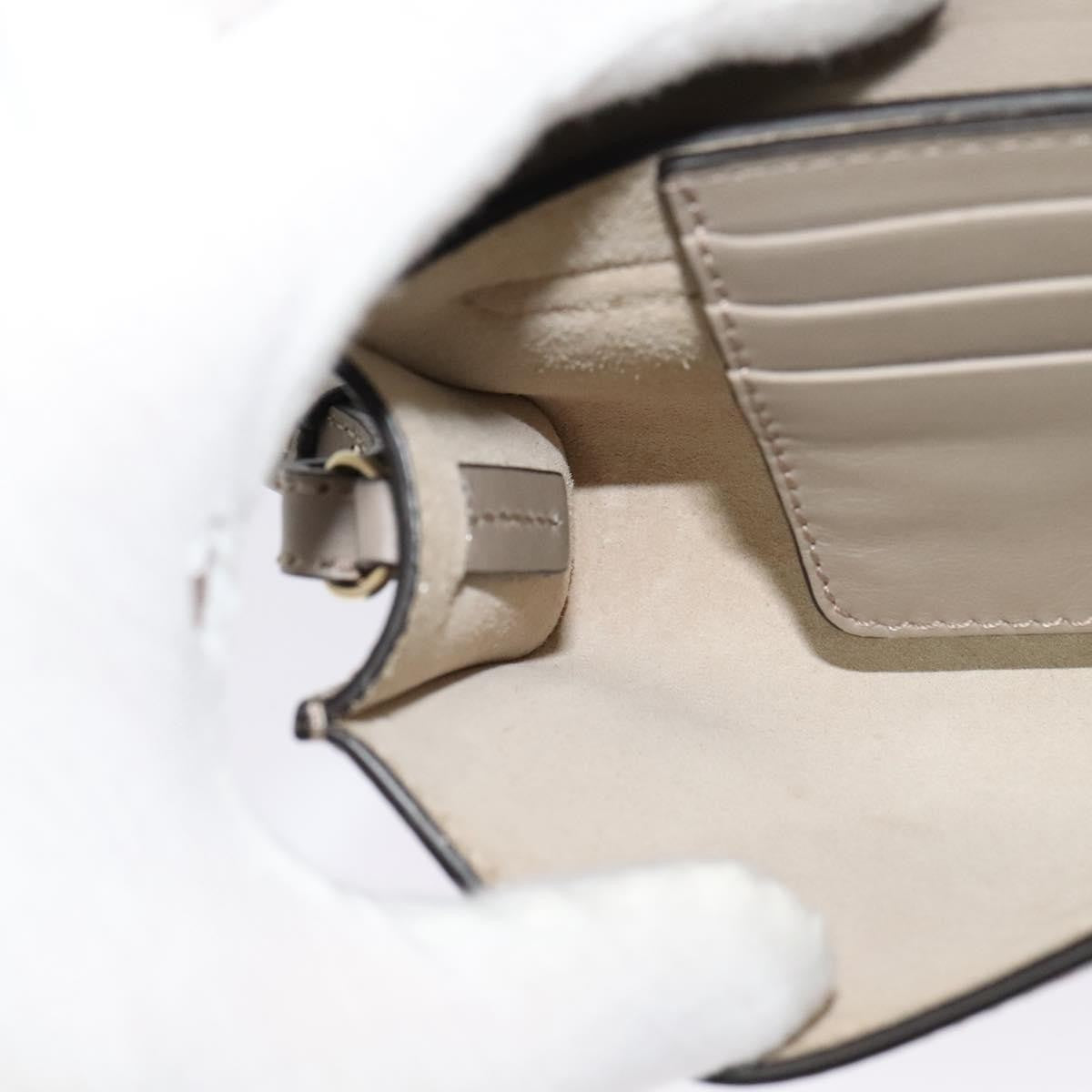 Chloe Faye Shoulder Bag Leather and Suede