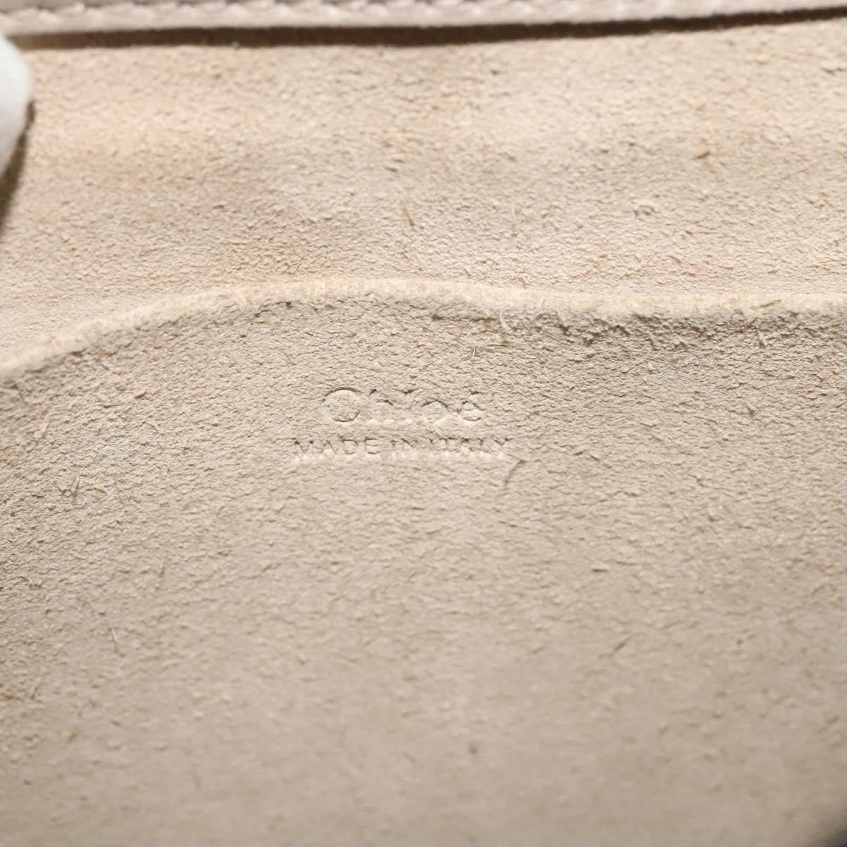 Chloe Nile Crossbody Bag Leather