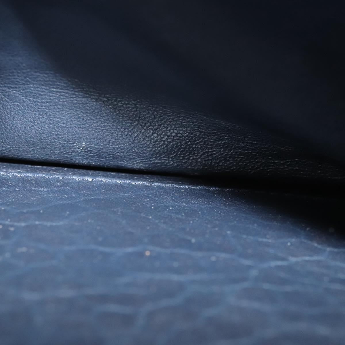 Celine C Sulky Shoulder bag Canvas and Leather