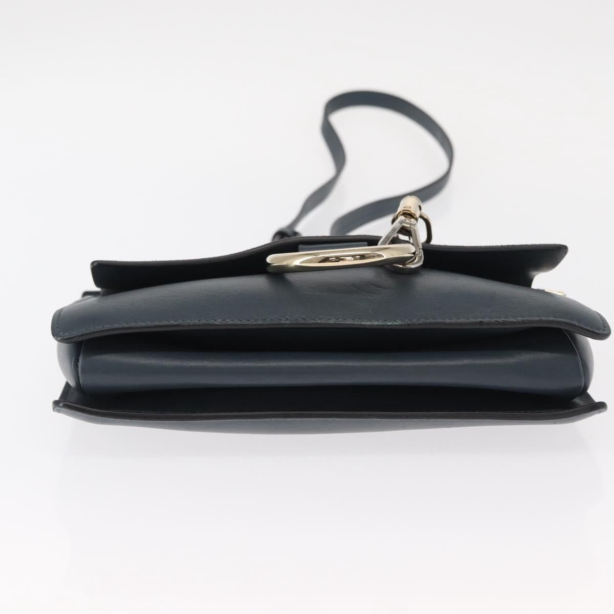 Chloe Faye Shoulder Bag Leather and Suede