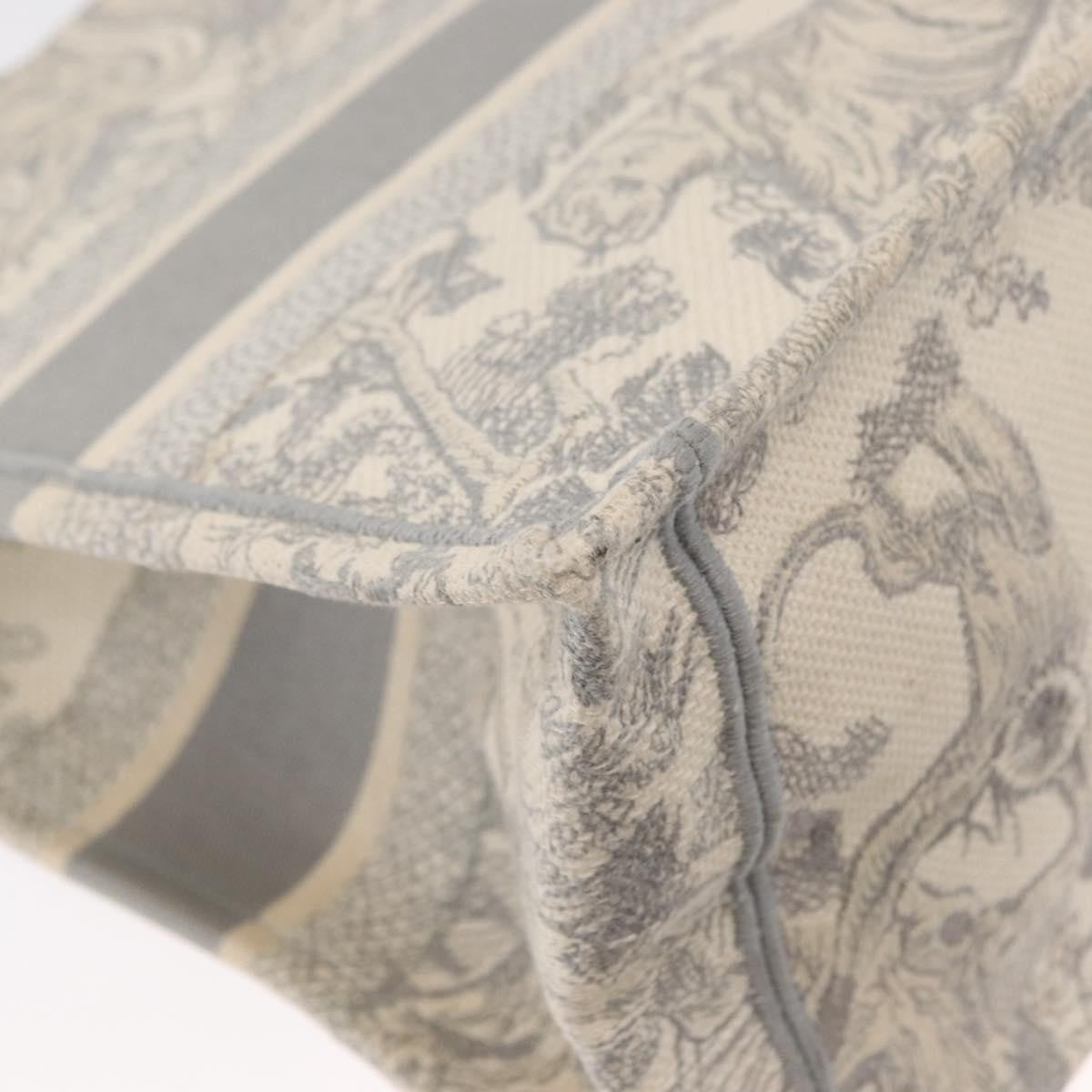 Christian Dior Book Tote Embroidered Canvas