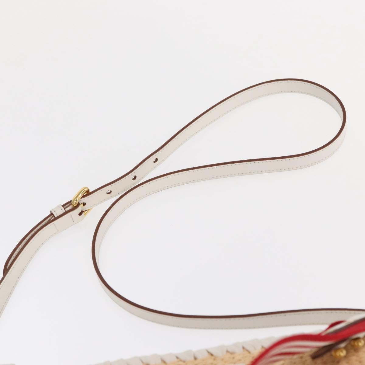 Prada Bucket Bag Woven Raffia with Leather